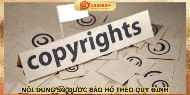 noi-dung-so-duoc-bao-ho-theo-quy-dinh